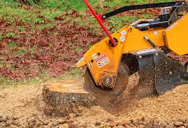 Best Tree Disease Treatment  in Christiana, TN