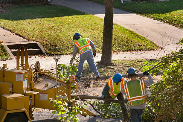 Best Hazardous Tree Removal  in Christiana, TN