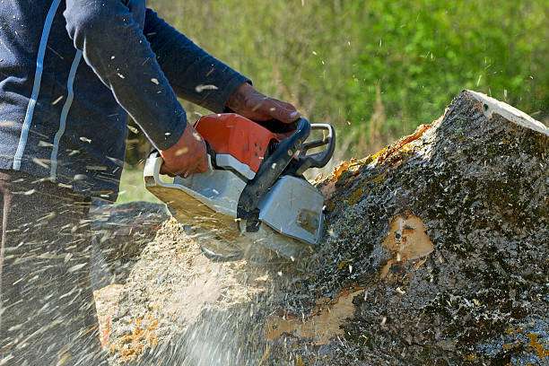 Best Organic Lawn Care Solutions  in Christiana, TN